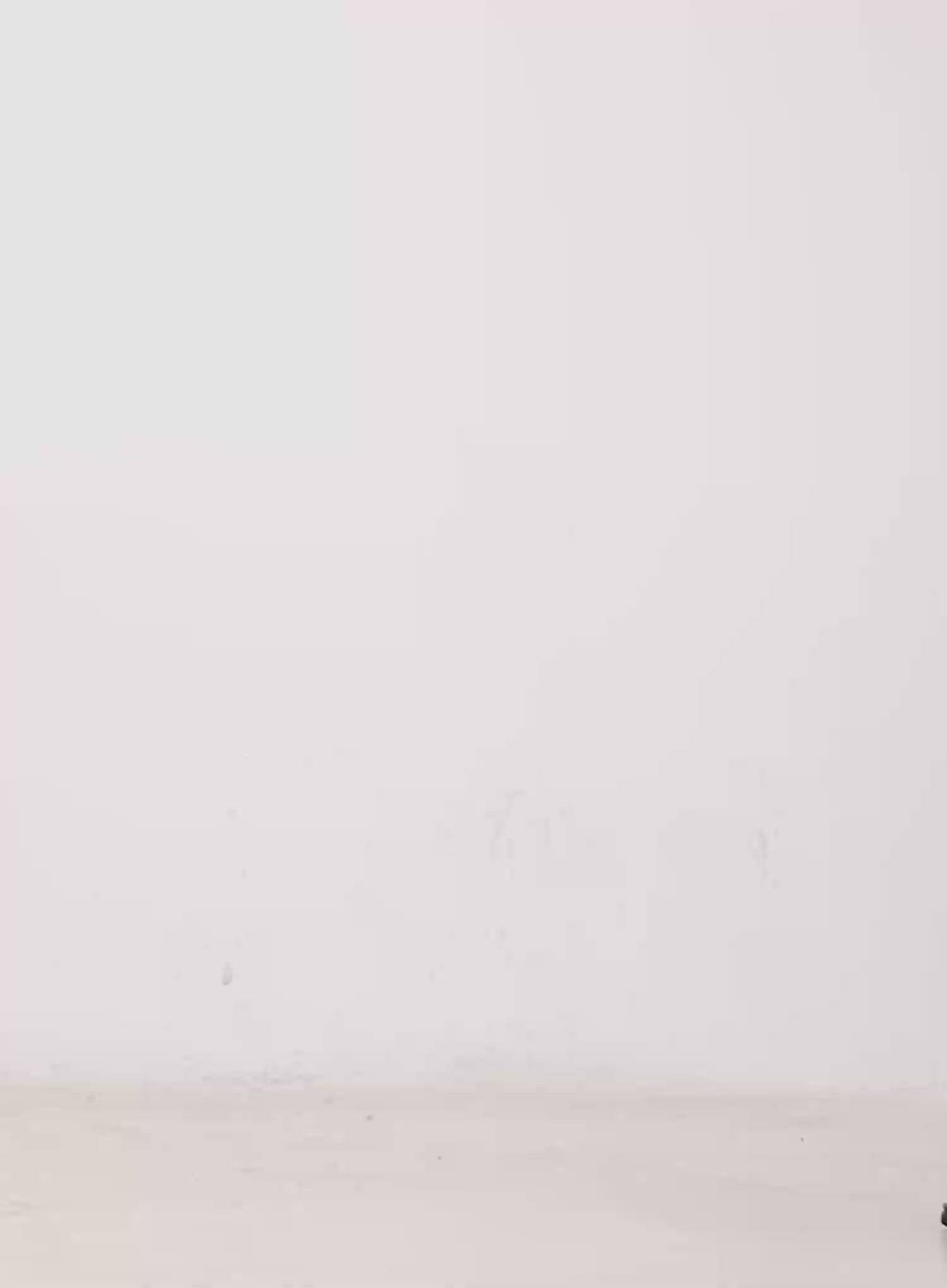 Analia Washed Wide-Leg Jeans CO529