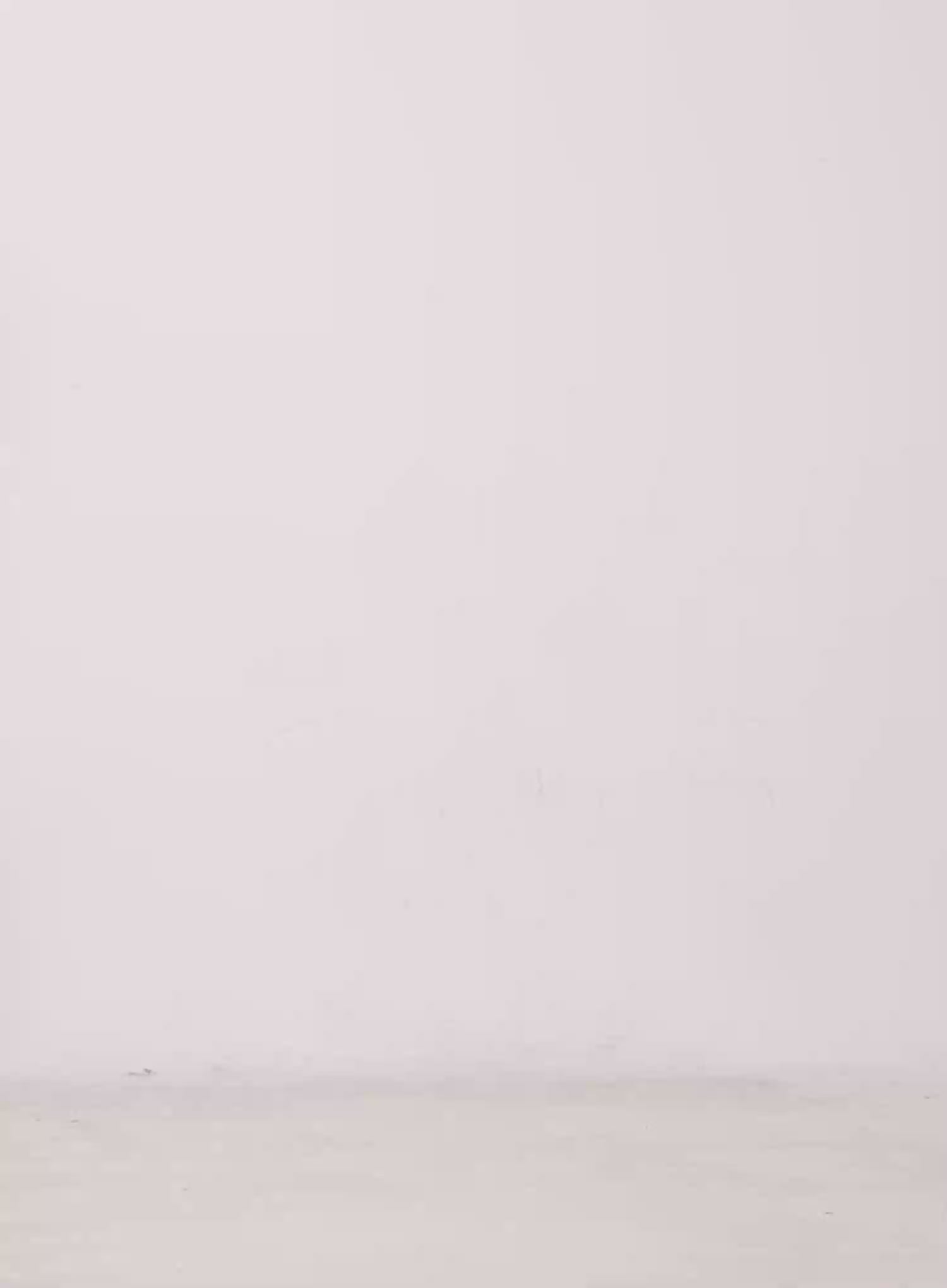 Light-Wash Baggy Jorts CU505