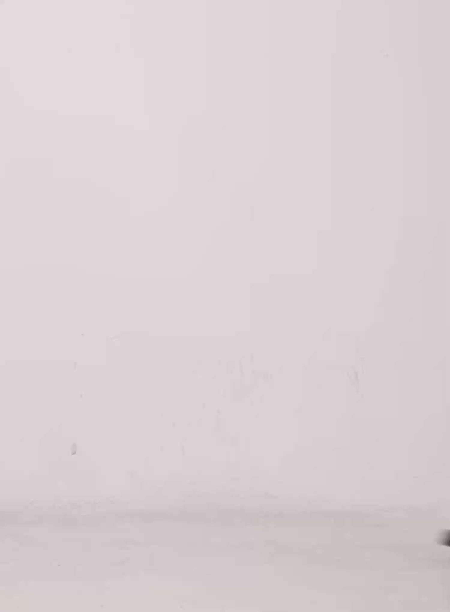 [STR] Mirren Brown Washed Baggy Jeans IS525