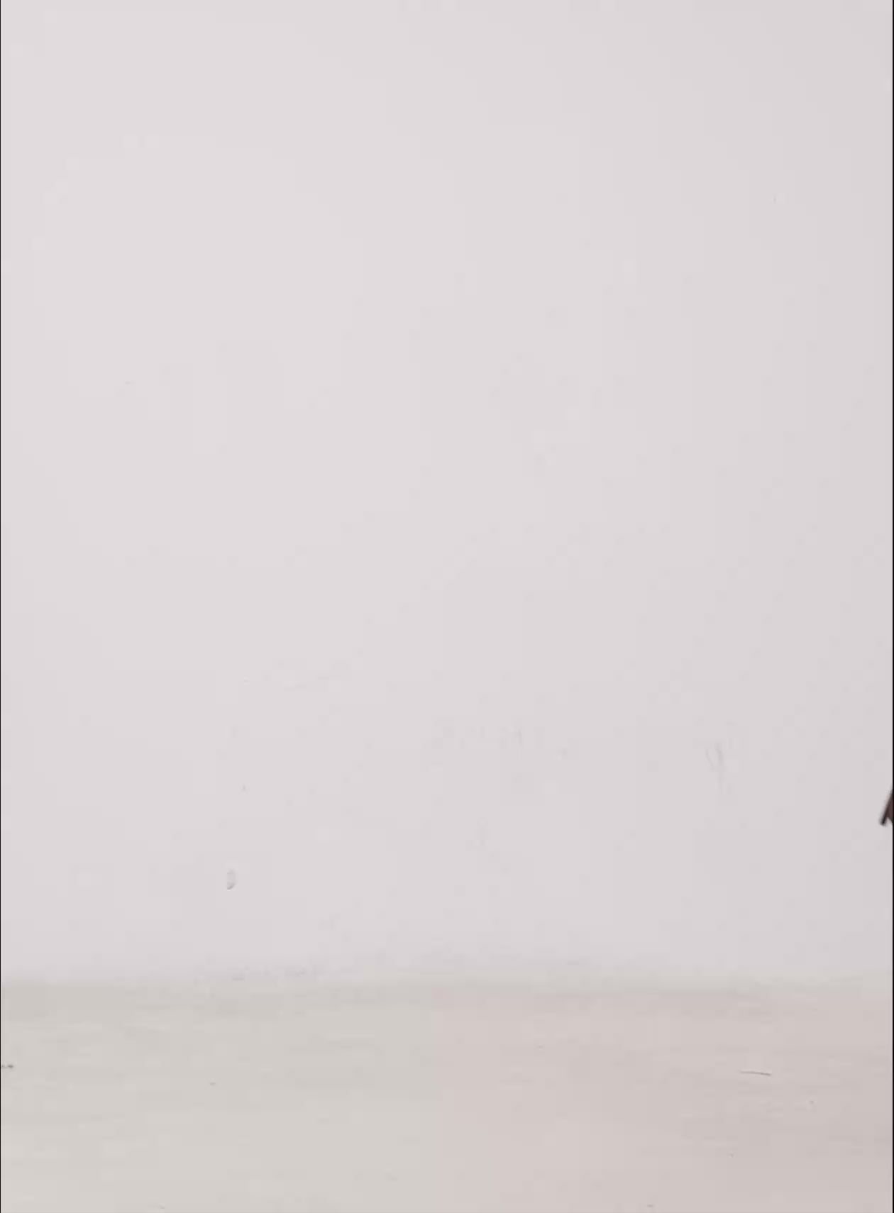 Sloan Vintage Flare Jeans CS502