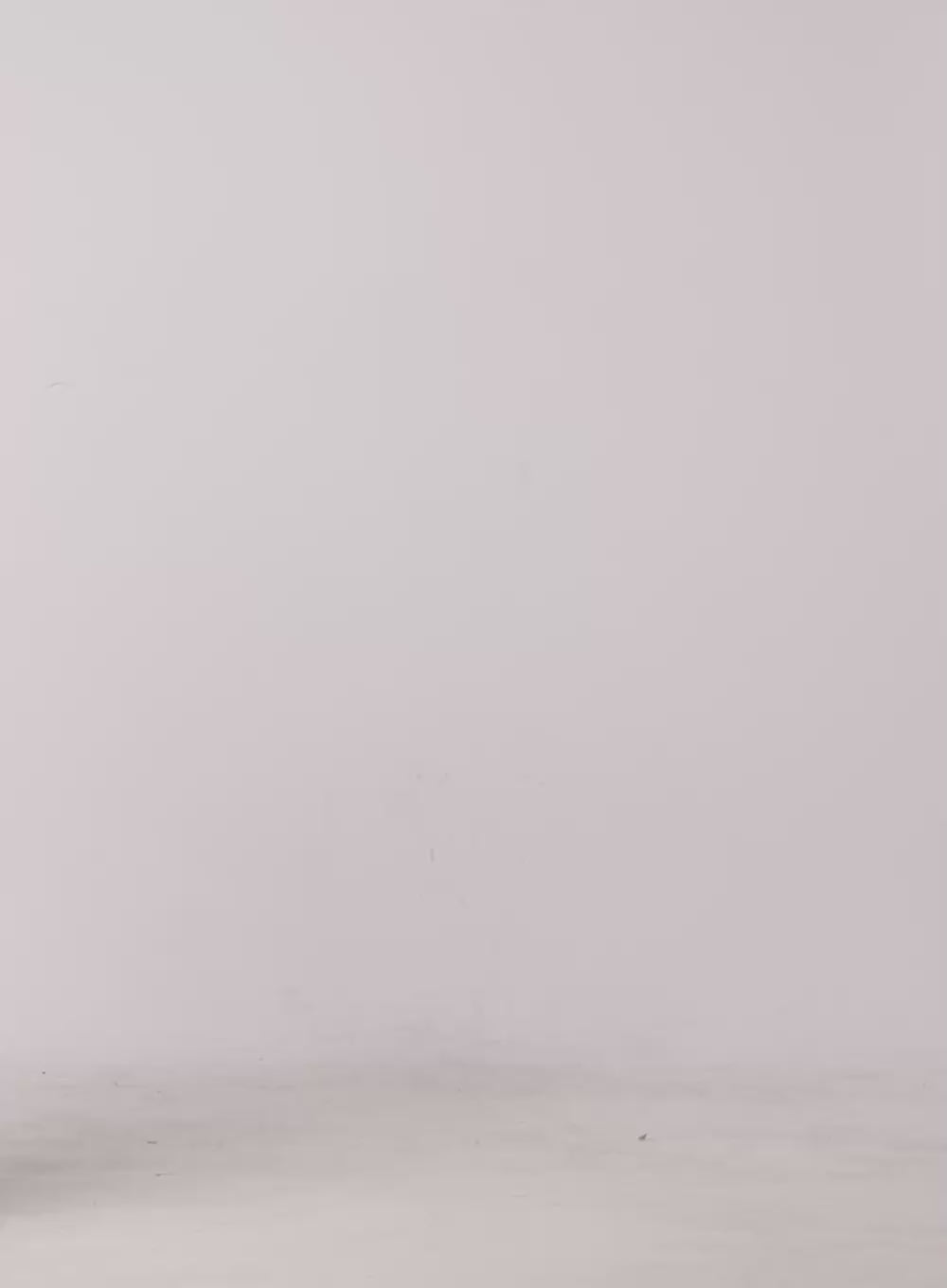 Cozy Cotton Wide-Leg Sweat Pants ON429