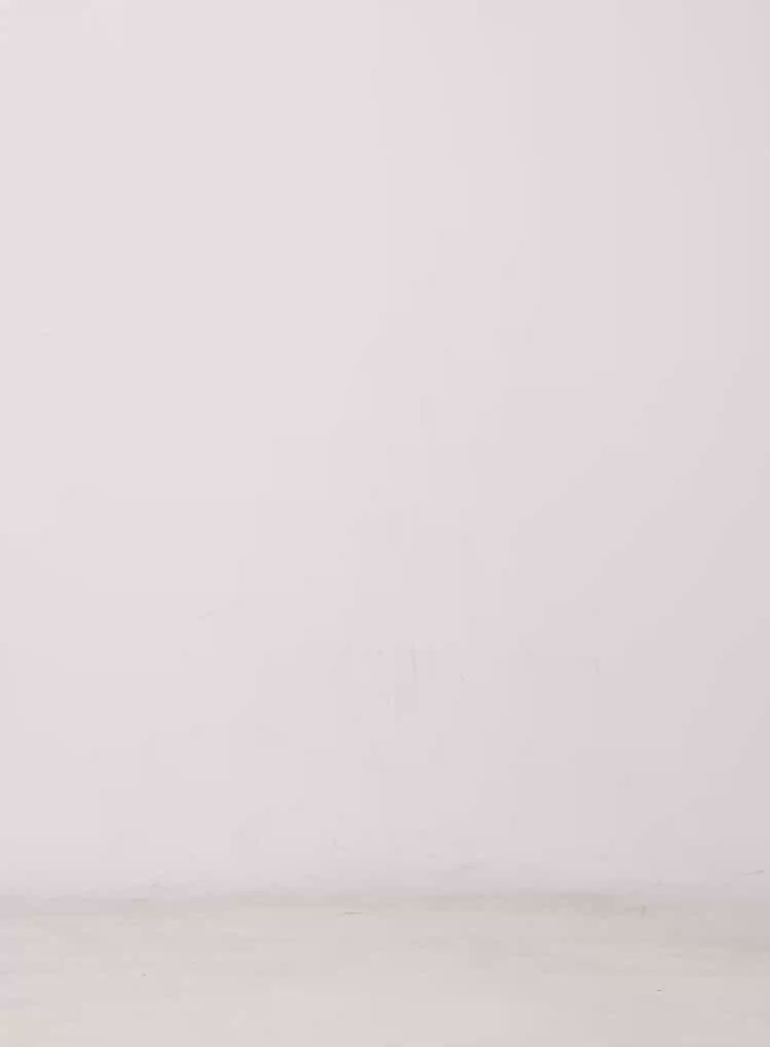 Sheer Graphic Tee IU525