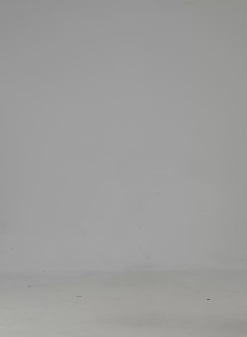 Oversized V Neck Sweatshirt IN322