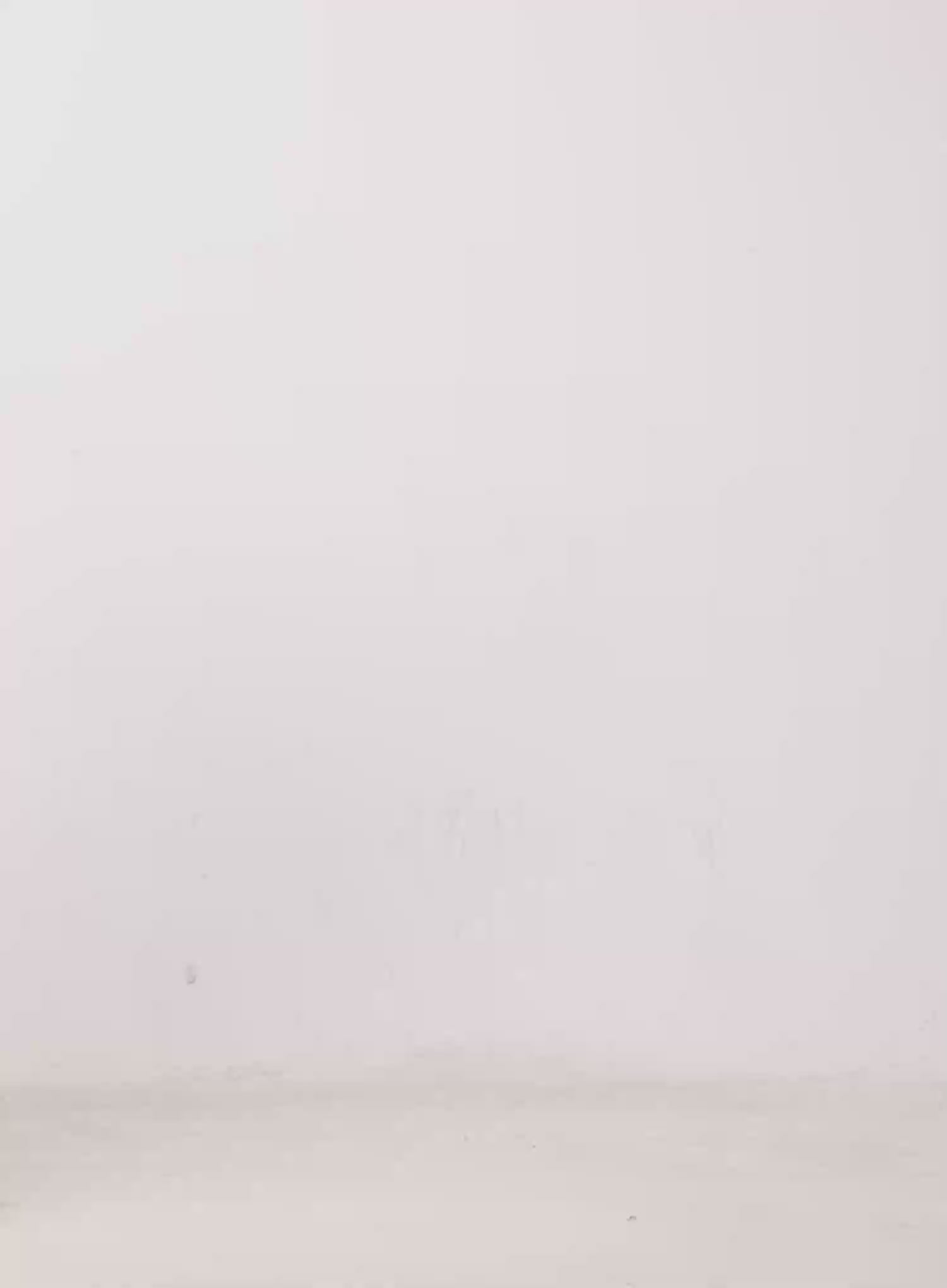 Half Button Collar Sweater IJ509